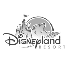 Selected Brand References