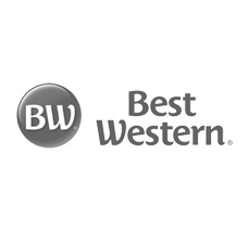 Selected Brand References